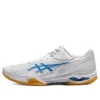 Court Control FF 3 ”White Directoire Blue”