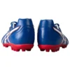 DS Light AG ”Blue Red”