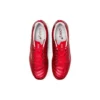 DS Light X-Fly Pro ”Classic Red Beet Juice”