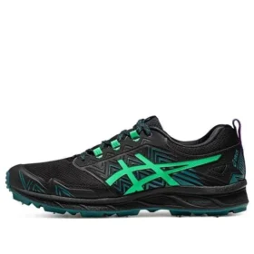Gel-FujiSetsu 3 GTX ”Black New Leaf”