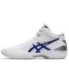 Gel-Hoop V12 ”White Blue”
