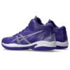 Gel-Hoop V16 S ”Purple Grey”