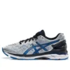 Gel-Kayano 23 2E ”Silver Blue”