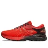 Gel-Kayano 25 ”Tokyo Marathon”