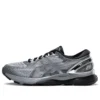 Gel-Nimbus 21 Platinum ”Sheet Rock Silver”