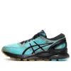 Gel-Nimbus 21 ”Winterized – Ice Mint”