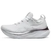 Gel-Nimbus 26 Platinum ”Real White Pure Silver”