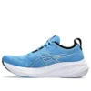 Gel-Nimbus 26 ”Waterscape”