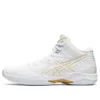 Gelhoop V12 ”White”
