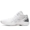 Gelhoop V14 ”White Silver”