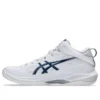 Gelhoop V17 S ”White Mako Blue”