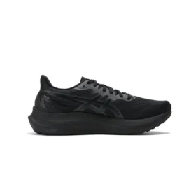 GT-2000 12 ”Triple Black”