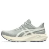 GT-2000 13 ATC ”Seal Grey Brich”