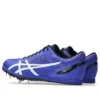 Heat Flat 12 ”Cobalt Burst White”