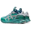 HS1-S Tarther Blast ”Misty Pine”
