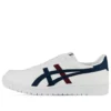 JAPAN S ”White Black”