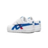 Japan S ”White Blue Red”
