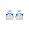 Japan S ”White Blue Red”
