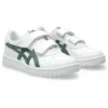 Japan S ”White Ivy”