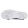 Japan S ”White Silver”