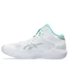 Nova Flow ”White Green”
