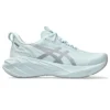 Novablast 4 LE ”Cool Grey”