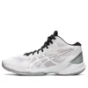Sky Elite FF MT 2 ”White Pure Silver”